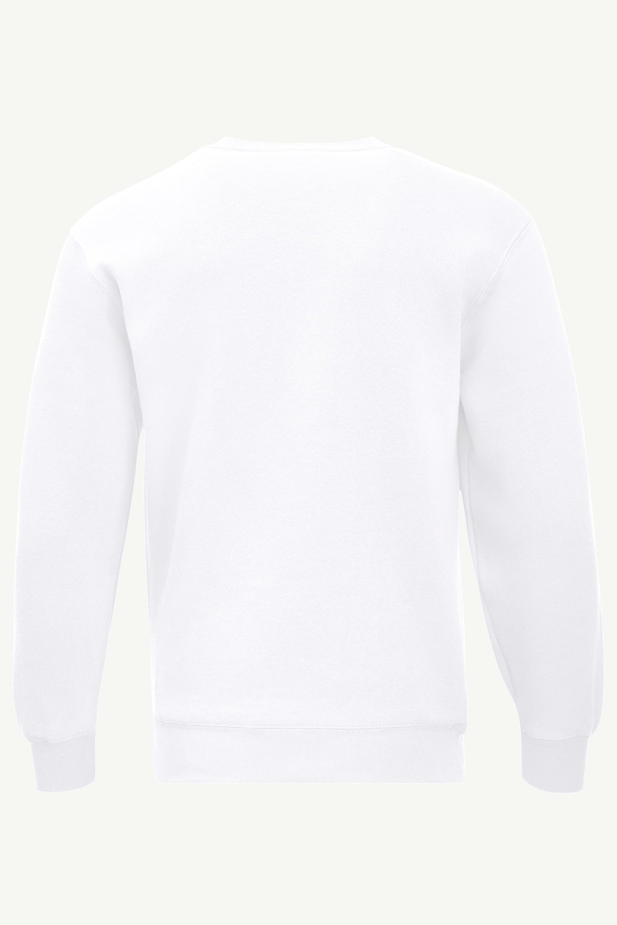 Starter Popular / MENS TORONTO MAPLE LEAFS GRAPHIC SWEATSHIRT